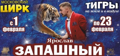 «Тигры на земле и в воздухе»