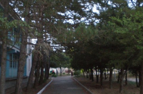 Детский лагерь Огонёк