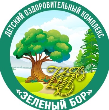 Лагерь Зелёный бор Луга официальный сайт