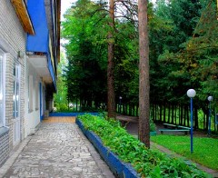 База отдыха Лесные дали