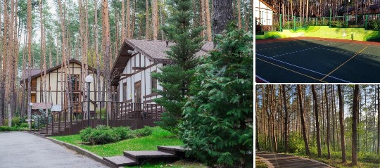 база отдыха Донской лес Липецк цены