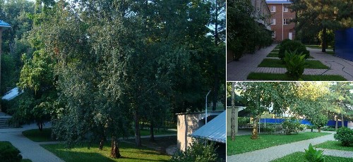 База отдыха Полюс