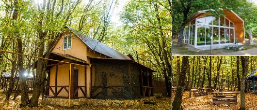 База отдыха Лесное озеро